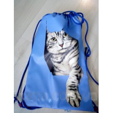 Рюкзак на шнурках "Кот в синем"